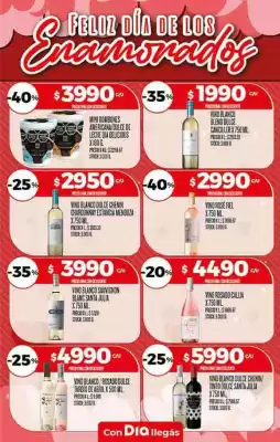 Folleto Supermercados DIA (válido hasta 17-02)