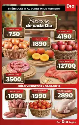 Folleto Supermercados DIA (válido hasta 16-02)