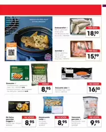 Hanos folder Pagina 9