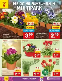 Netto Marken-Discount Prospekt woche 8 Seite 6