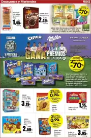 Folleto FROIZ Página 13