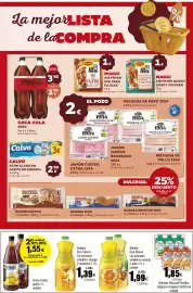 Folleto FROIZ Página 15