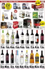 Folleto FROIZ Página 17