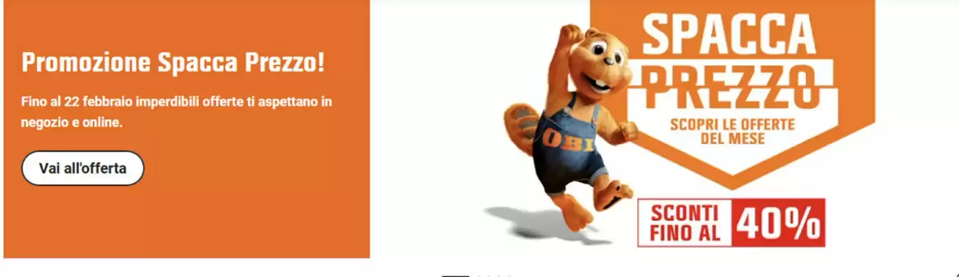 Volantino OBI (valido fino al 22-02)