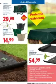 Catalog Lidl Pagină 11