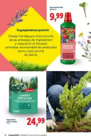 Catalog Lidl Pagină 12