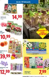 Catalog Lidl Pagină 15