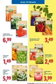 Catalog Lidl Pagină 17