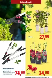 Catalog Lidl Pagină 25