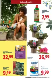 Catalog Lidl Pagină 31