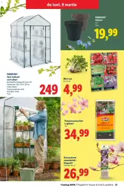 Catalog Lidl Pagină 33