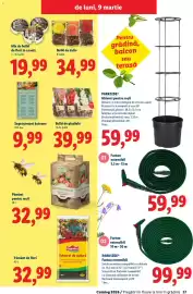 Catalog Lidl Pagină 37