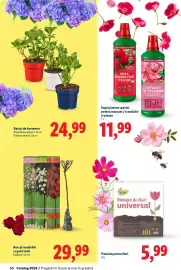 Catalog Lidl Pagină 50
