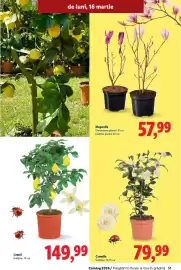 Catalog Lidl Pagină 51