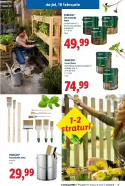 Catalog Lidl Pagină 7