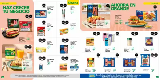 Catálogo Mayorsa Página 5