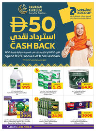 Abu Dhabi Coop leaflet week 7 Page 48