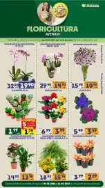 Catálogo Supermercados Avenida Página 16