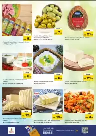 Nesto catalogue Page 17