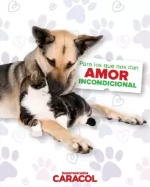 Catálogo Supermercados Caracol Página 1