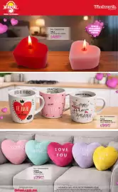 Folleto DelSol Página 11