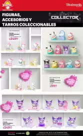 Folleto DelSol Página 9