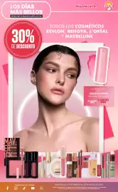 Folleto DelSol Página 22