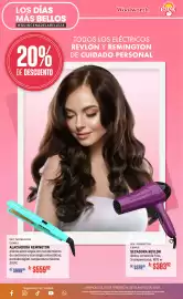 Folleto DelSol Página 31