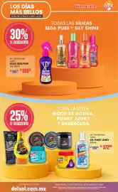 Folleto DelSol Página 8