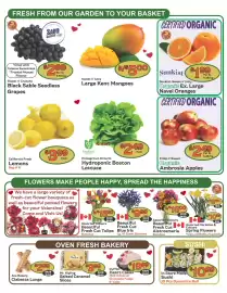 The Garden Basket flyer week 7 Page 2