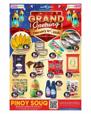 Bigmart leaflet (valid until 12-02)