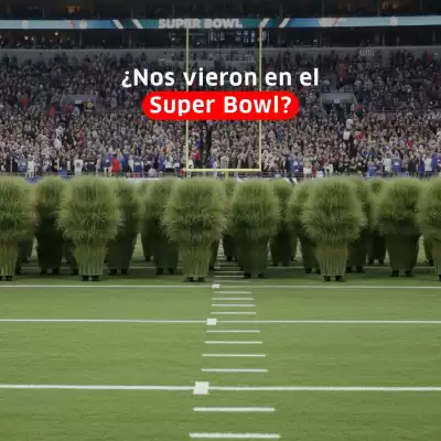 Catálogo Farmacias Económicas (válido hasta 12-02)