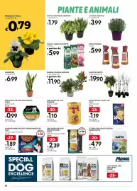 Volantino Bennet Pagina 26