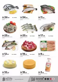 Nesto catalogue Page 5