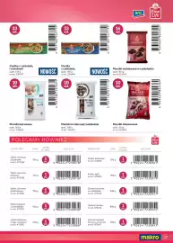 Makro gazetka Strona 37