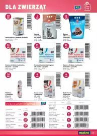 Makro gazetka Strona 43