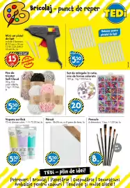 Catalog TEDI săptămâna 8 Pagină 14