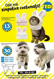 Catalog TEDI Pagină 13