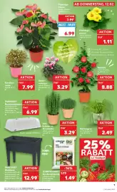 Kaufland Prospekt woche 7 Seite 15