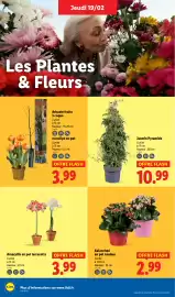 Catalogue Lidl semaine 8 page 28
