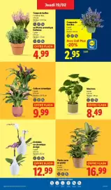 Catalogue Lidl semaine 8 page 29