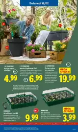 Volantino Lidl settimana 8 Pagina 31