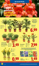 Volantino Lidl settimana 8 Pagina 46