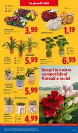 Volantino Lidl settimana 8 Pagina 47
