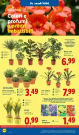 Volantino Lidl settimana 8 Pagina 50