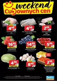 Delfin gazetka Strona 1