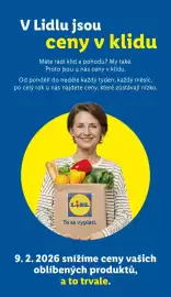 Lidl leták Strana 41