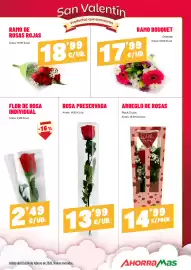 Folleto AhorraMas semana 7 Página 13