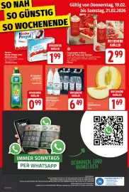 Elli Markt Prospekt woche 8 Seite 13