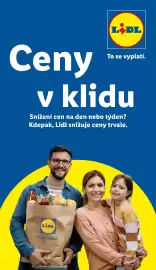 Lidl leták Strana 42